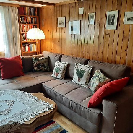 Chalet Am Fels Innertkirchen Zewnętrze zdjęcie